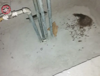 文水卫生间测漏水价格明细